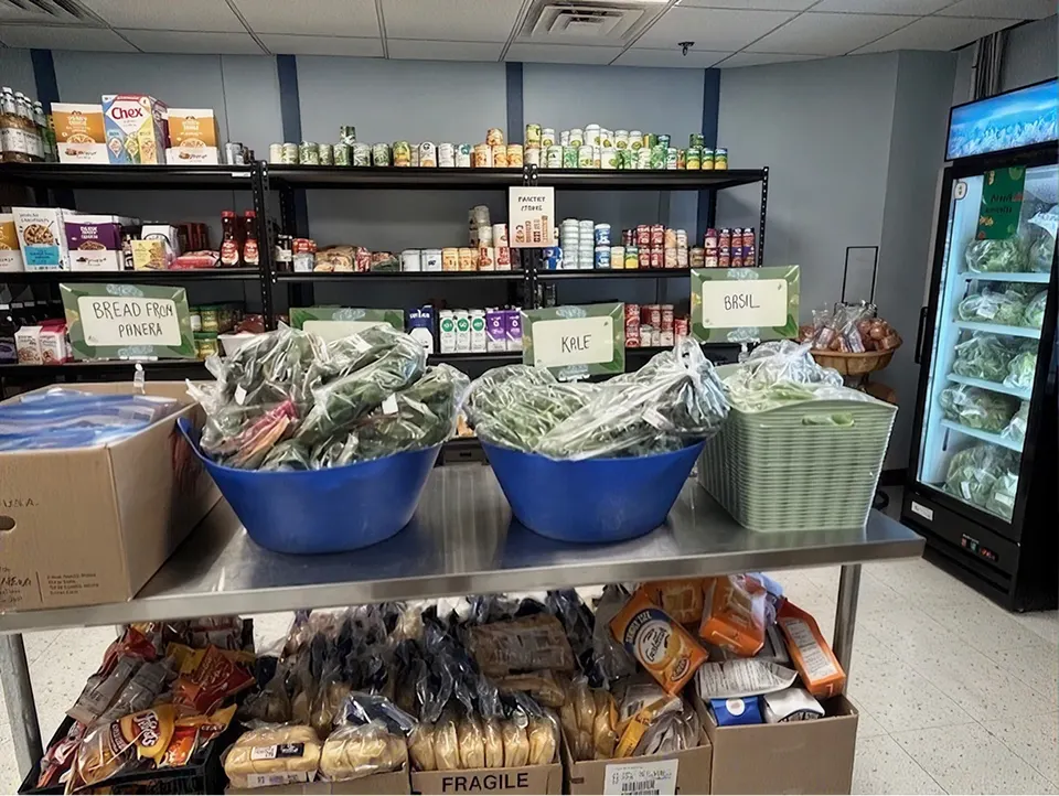 Odyssey OWL Pantry